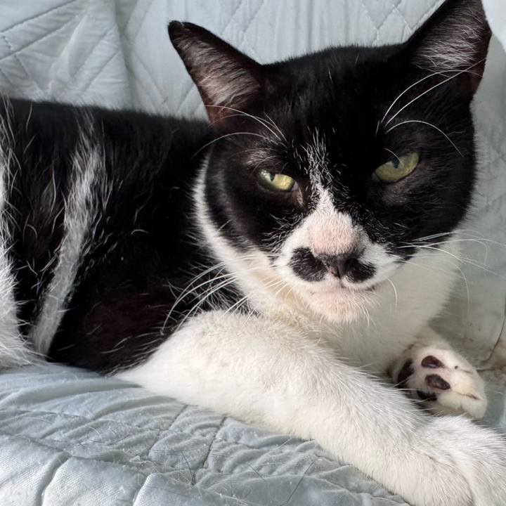 E0c18b8a 156d 4e0c 81a8 e68639bb25d9 1755917076235