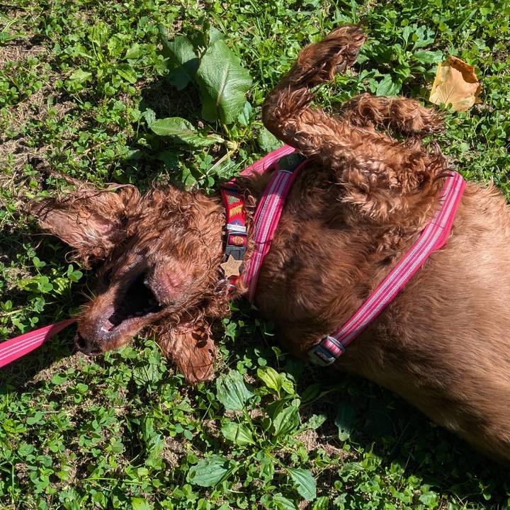 E0c1a37b 8499 4360 90c3 d1bcf0e14334 1758507252298