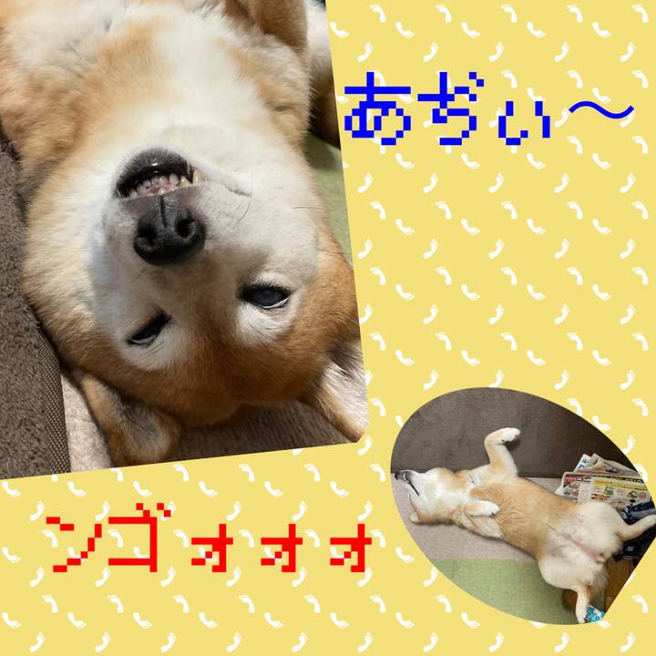 E0c1aa5f 4c03 4d0a aee7 cd74cb306f8d 1718347070230