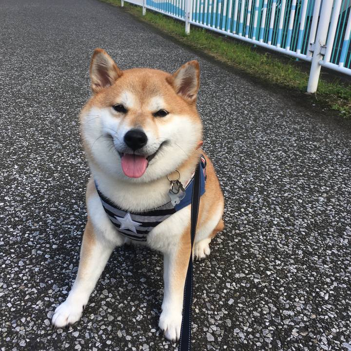 E0c1b2ab f34f 4901 a2a8 a042ba00bf43 1541655243603