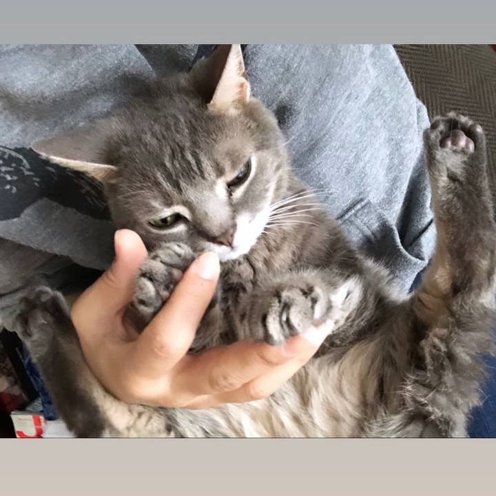 E0c1b773 21ba 4280 a2aa 40e644d0ab30 1560584905703