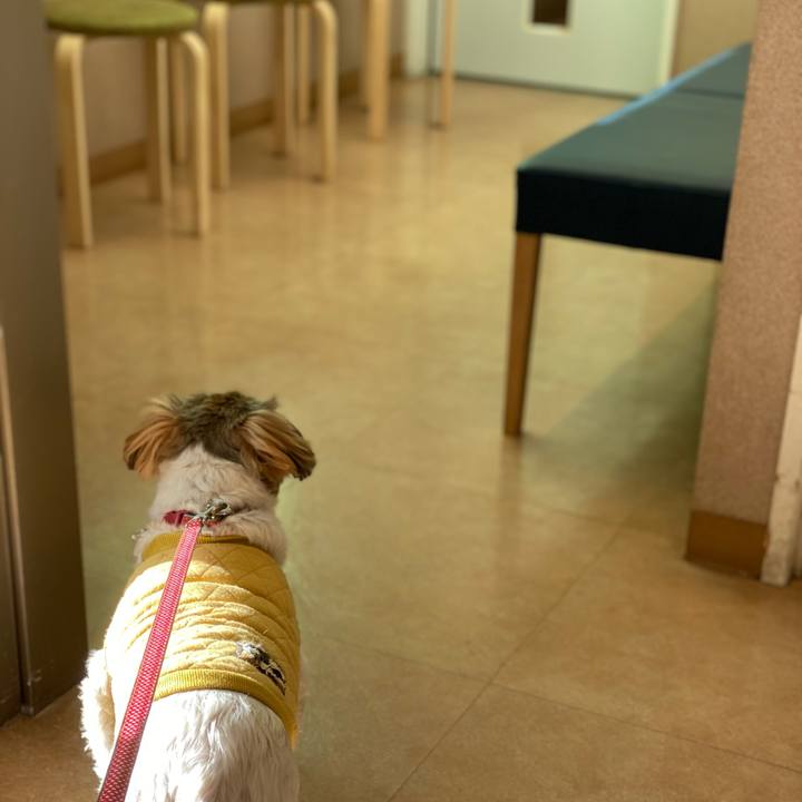 E0c1e253 9e1d 42b1 8343 20c301867522 1640844670389