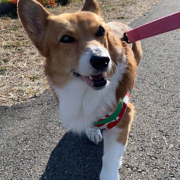 E0c1efce 86a3 48cb 845f 40346a9c5951 1704861496830