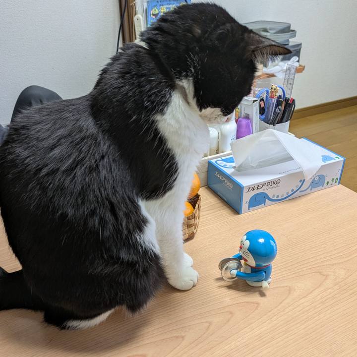 E0c21744 e2fd 4a6f 8853 b69bc7700f80 1764137853159