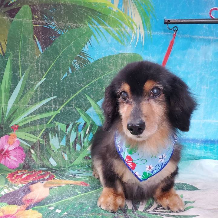 E0c21a26 15eb 4105 aa1f ac099415b0a0 1720174091351