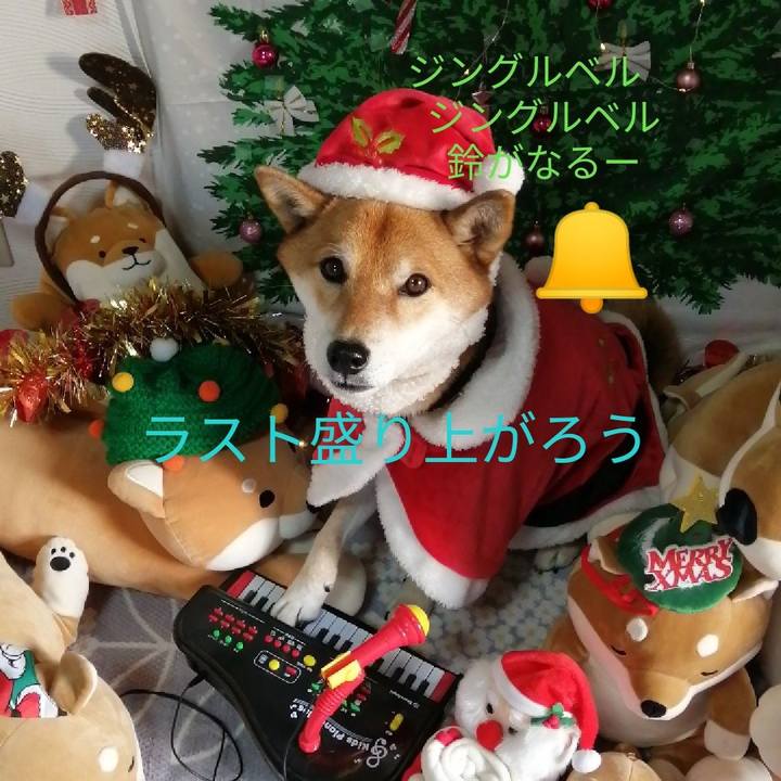 E0c22125 6271 4480 94fe d6e43ceaf620 1608387278335