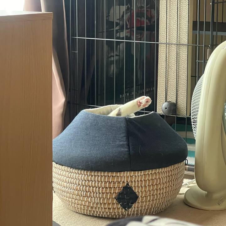 E0c2430f 7845 4da2 a801 b1ca1f50a9e3 1748822122186