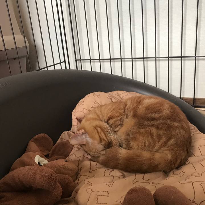 E0c25ad8 7b32 4732 9850 e2ffc99e0d1c 1510379798512