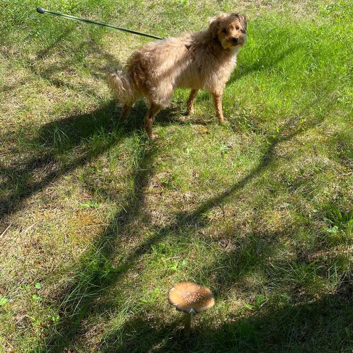 E0c2c4ea 8181 4701 b48e f1ca7b06b97e 1630717222773