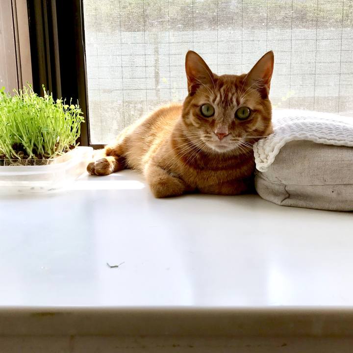 E0c2ccf8 4518 4cc4 8f25 fe17388d73bc 1522307144025