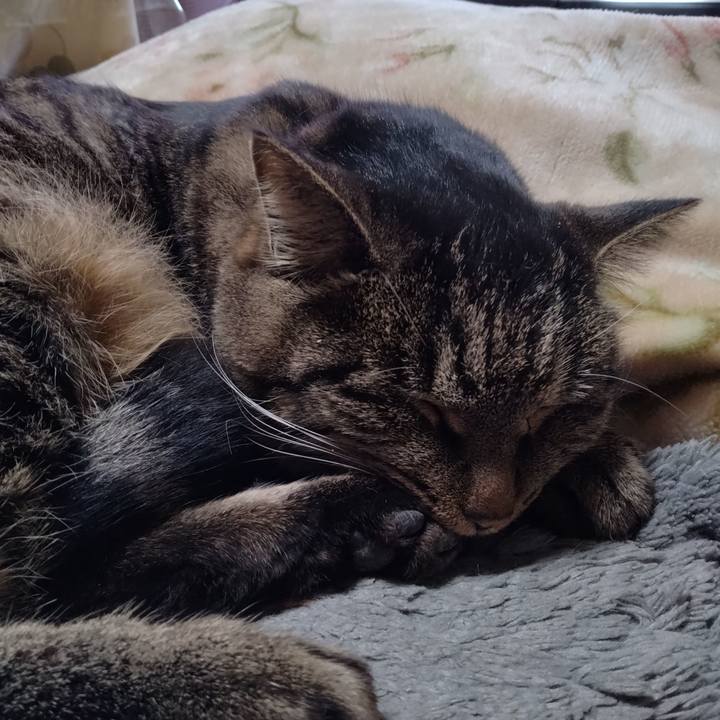 E0c2f9f9 eecb 4ee5 a5eb 0b0462a4b294 1672129922515