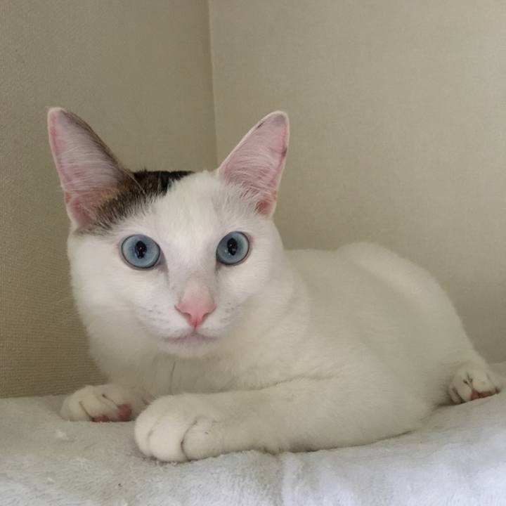 E0c31b70 08ca 49f0 816b 7b553a6a1ee5 1510974585110