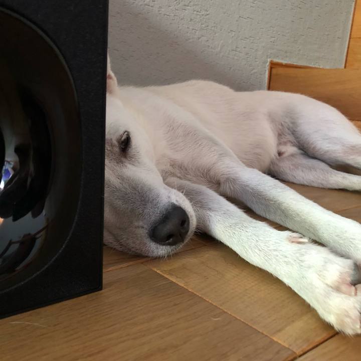 E0c32cc7 85f8 46a0 9e8c 259c15e54b5d 1535241510755