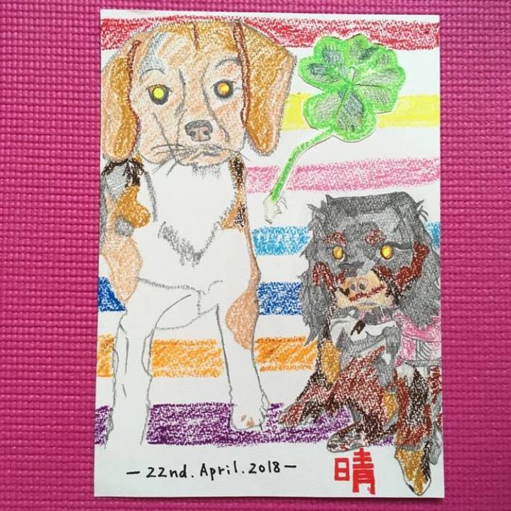 E0c34193 b6da 46d5 97af a09e58fce0b6 1524400621683