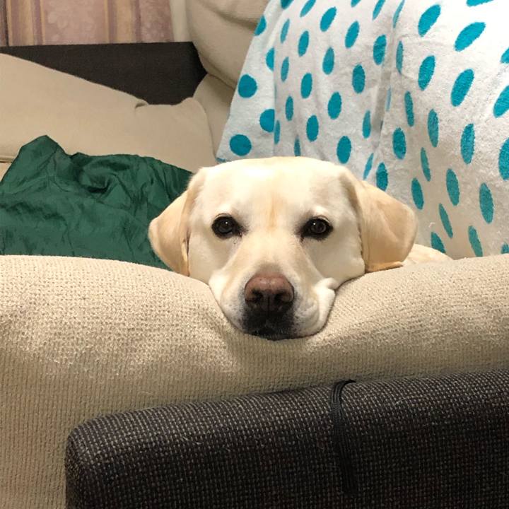 E0c34ac2 6e32 4c40 830c 7530b844cda9 1579058554913