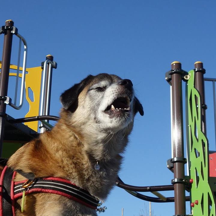 E0c39571 7e2f 4fa6 93b2 c5ac87a498a8 1575074296516