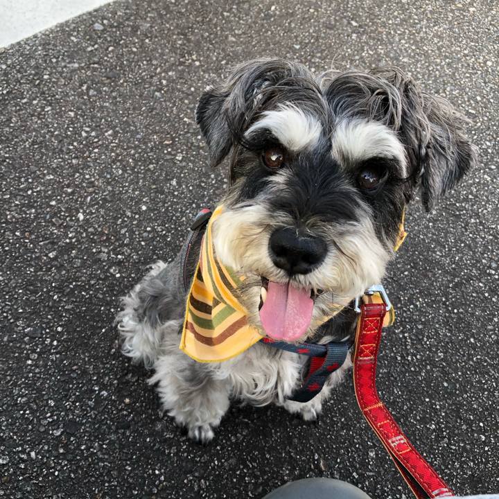 E0c3d40e a425 4472 8521 c25c7f6d0dde 1656709424446