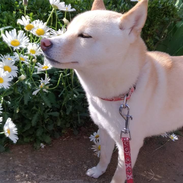 E0c3d88a eb27 4a5c ae64 6e6664503d07 1557313314585