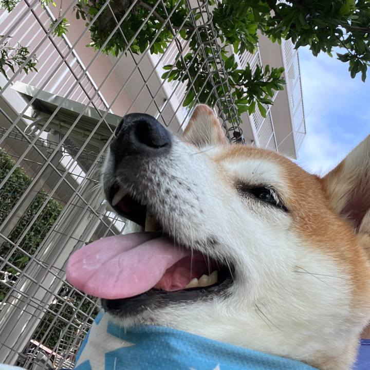 E0c3e5ad aa91 4b24 bf53 0e86f5d93e27 1722902898001