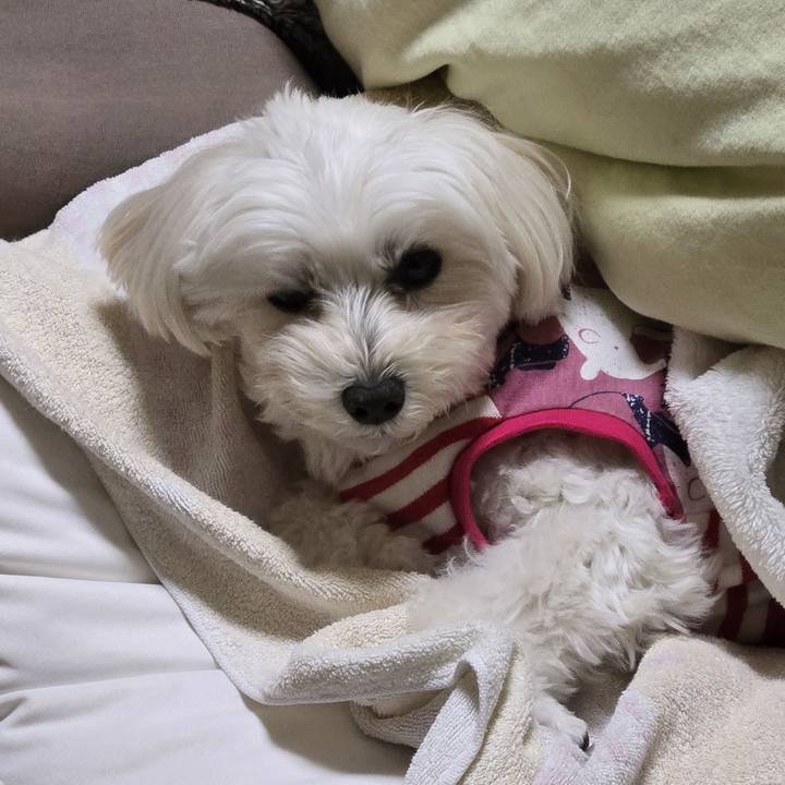 E0c3f873 4635 4973 977d fc06112f4567 1763100194024