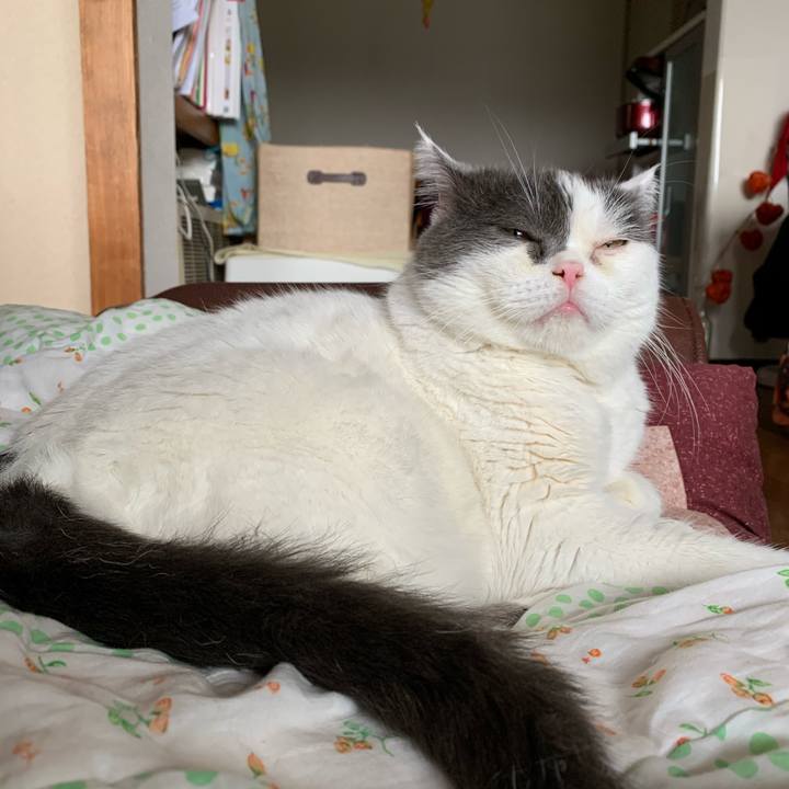 E0c43cec 1865 4686 a03d fd1a985f5975 1599966904422