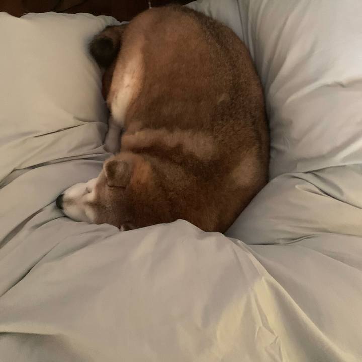 E0c489fe 6ad0 40be a478 6babd48cf20e 1642408954666