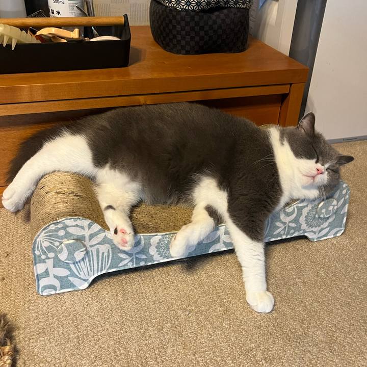 E0c4a3be b2e1 4771 80f3 66e7a5bfcfe1 1724498074273