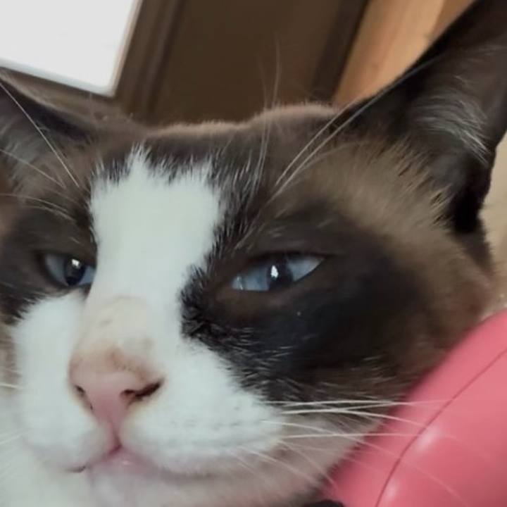 E0c4e08d 12d8 4bd5 abf0 4120d1ec26f5 1783310127324