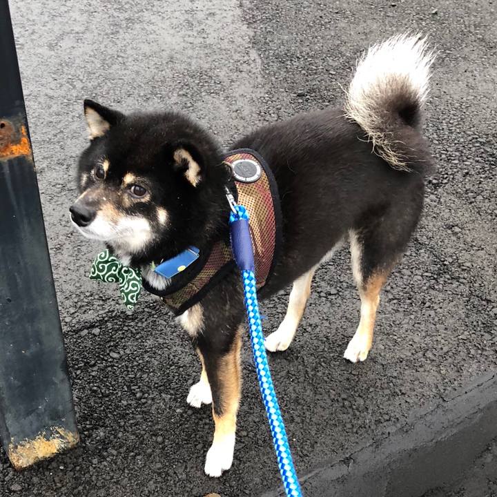 E0c4e8e2 8f0d 4d98 a455 d48290cf8d73 1531697778063