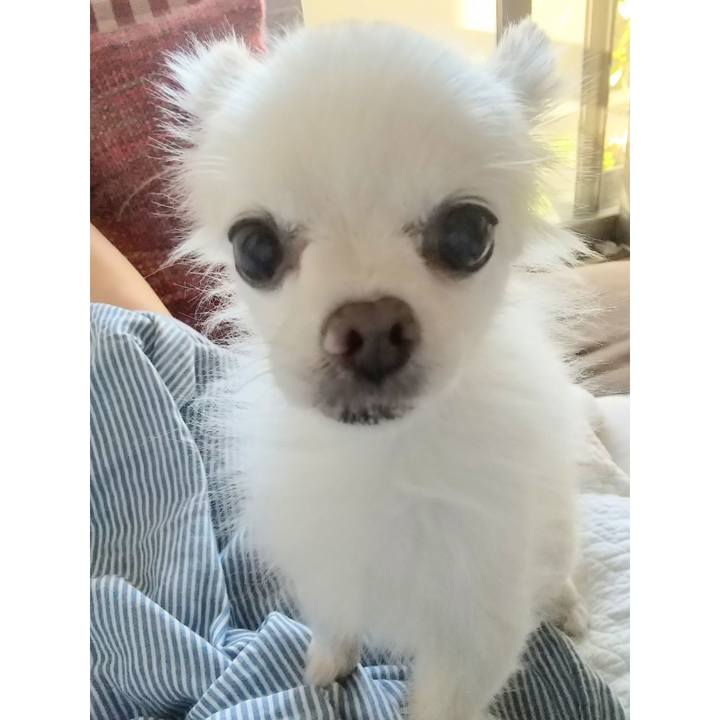 E0c4ea11 64b5 4725 a457 39803df235f3 1633212792618