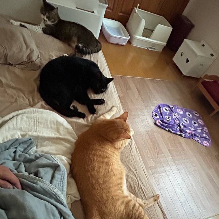 E0c50b97 ddd7 4f58 be4d 347fe84b25df 1690272854855