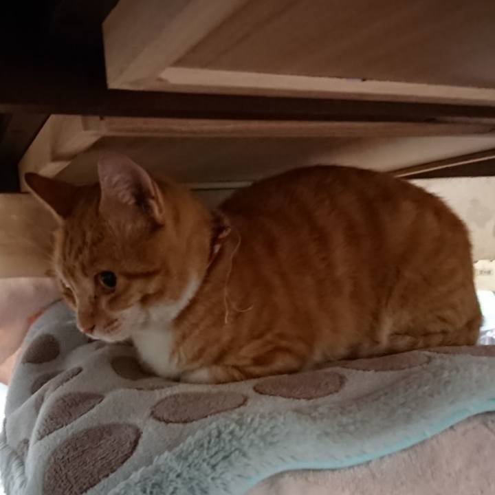 E0c51e56 22fc 4a24 989e cdc5421bb681 1562788820123