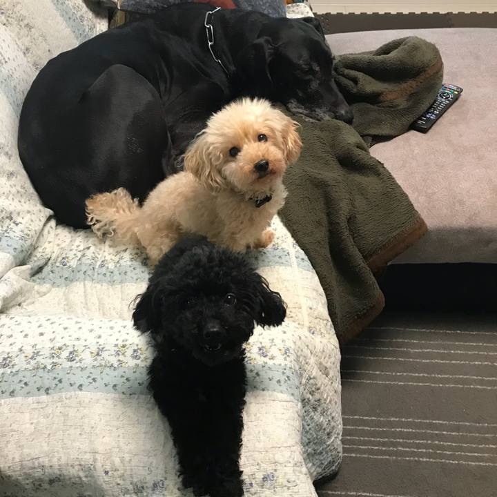 E0c563e8 79d3 4254 b5d3 ce95aef77c09 1508041640083