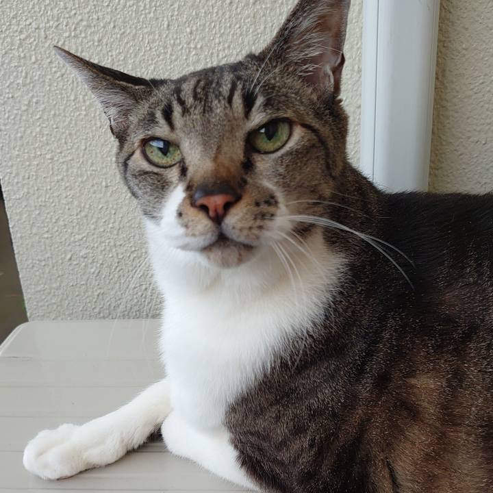 E0c58d9d 47fc 474d 965b 18b9baed9cf5 1749688592787