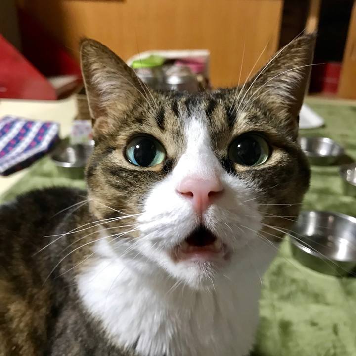 E0c595e3 67e0 4a88 ac4b 884939a49db2 1521187050171