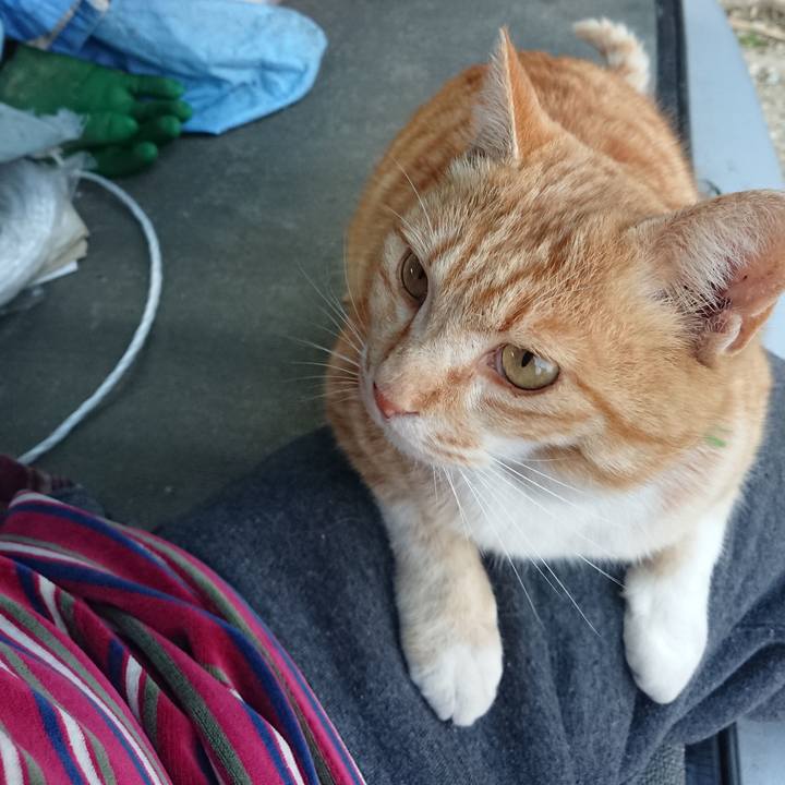 E0c5b7eb 16e2 4433 a9b4 3a6909640b42 1585989495731