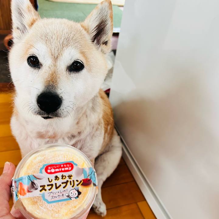 E0c5eac3 090a 48db b3e5 699673be352c 1748496890457