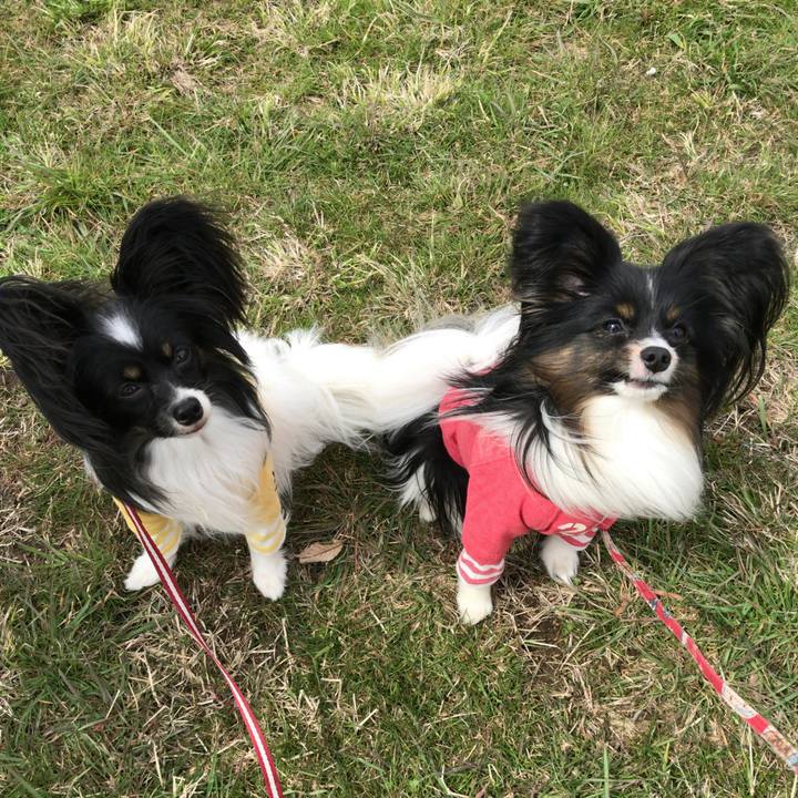 E0c6652e 73e3 4253 a59b efa61b5538d9 1521893782666