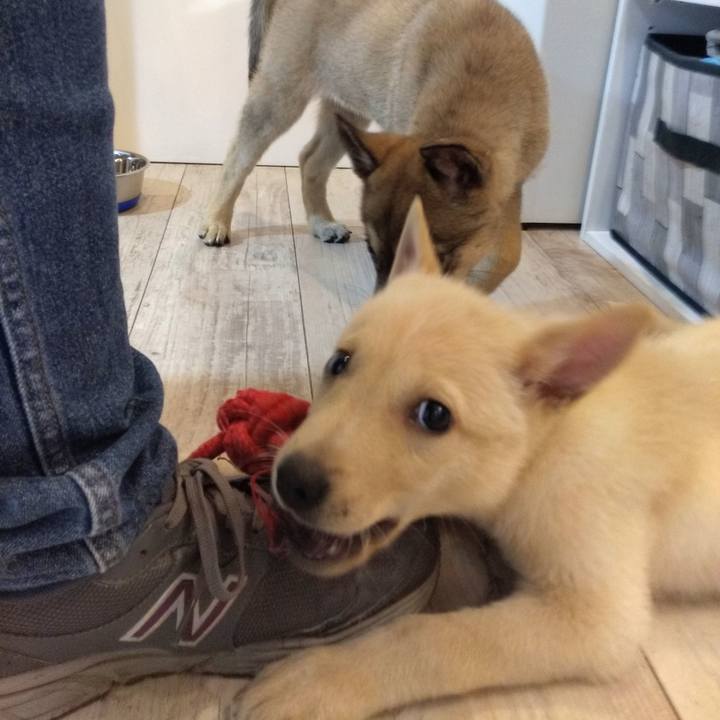 E0c6733b 3d94 45a9 af76 dd80a2708a74 1572176475191