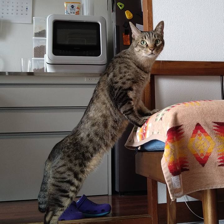 E0c69cfc ba50 451d 8239 275669a4173e 1665800042663