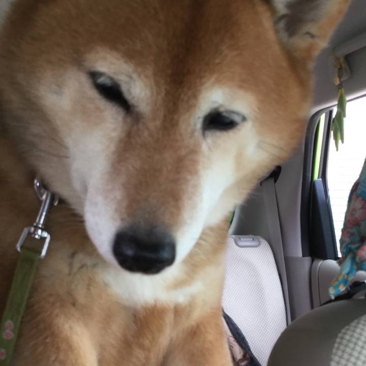 E0c6a649 67b4 4c2d 815f 0a2a384ac33f 1590468202568