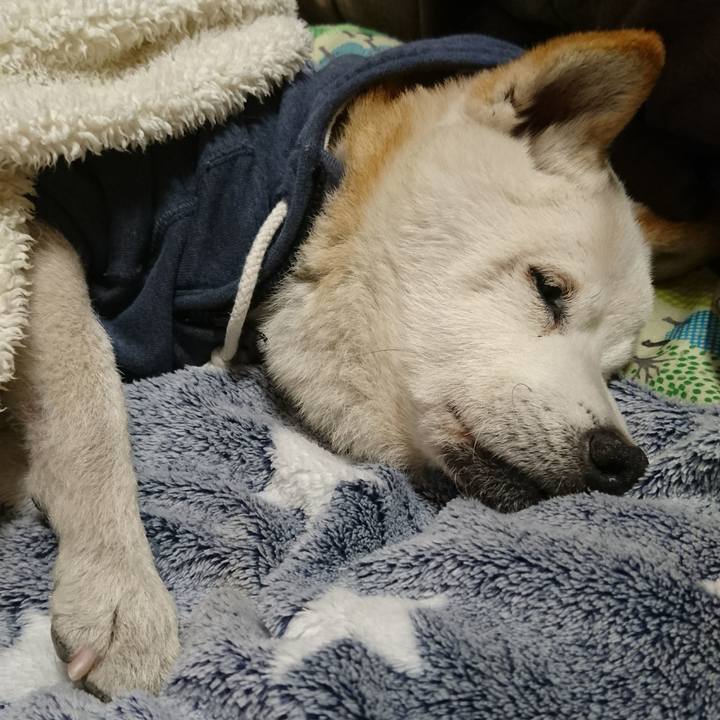 E0c6d0c0 d49b 4f2a 9345 5a06cd012f7f 1519998921408