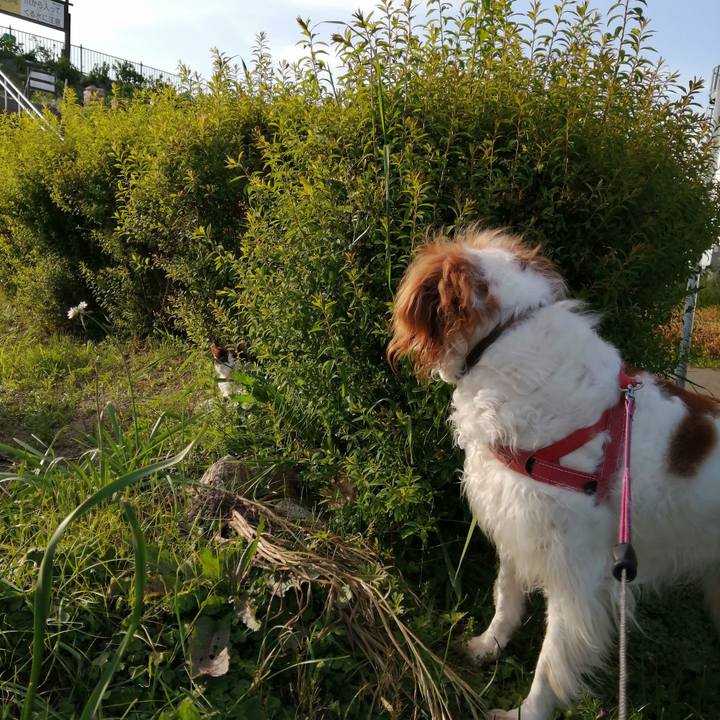 E0c6dc0d 3fa7 4125 95f7 69b1622e4f6e 1619514453417