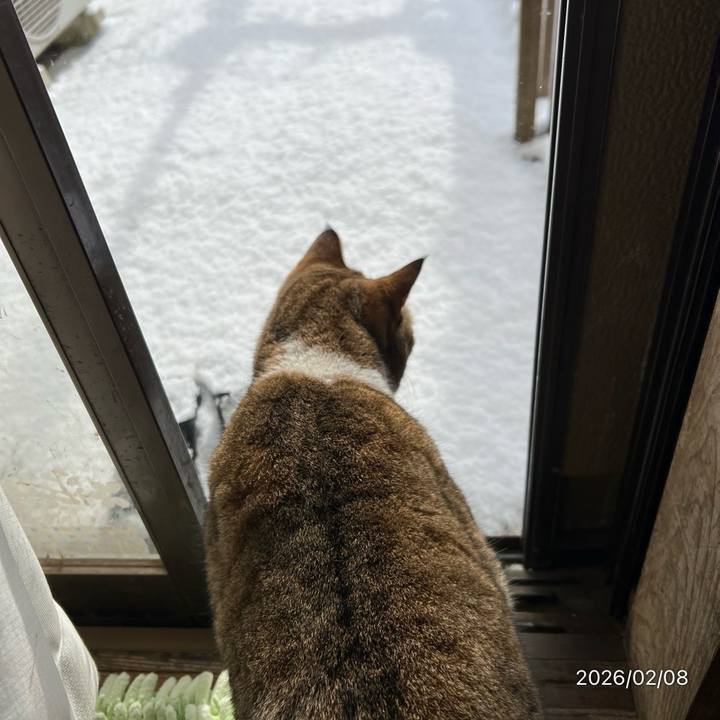 E0c71113 94ed 44c9 ae26 7eb43b0c07ba 1770512225944