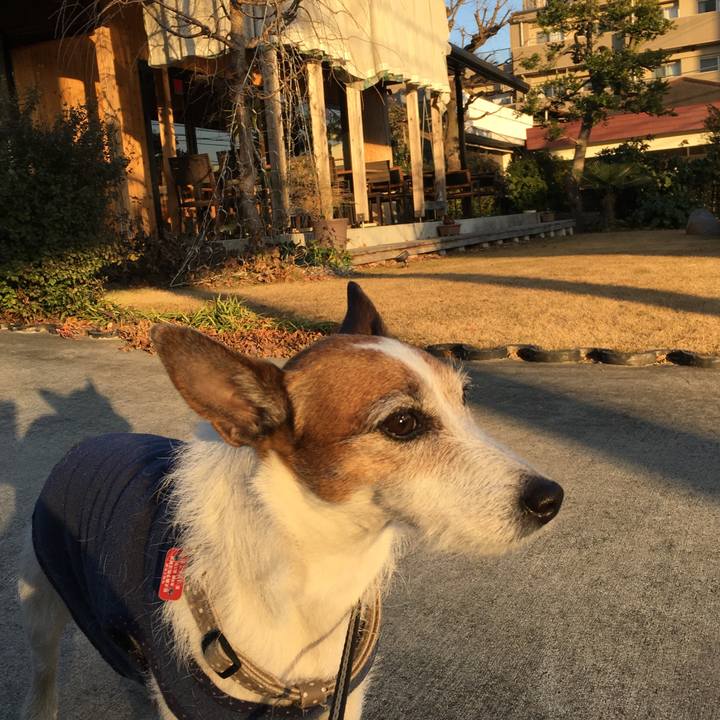 E0c72746 5236 48fd 931e 3c46326f6551 1609716799126