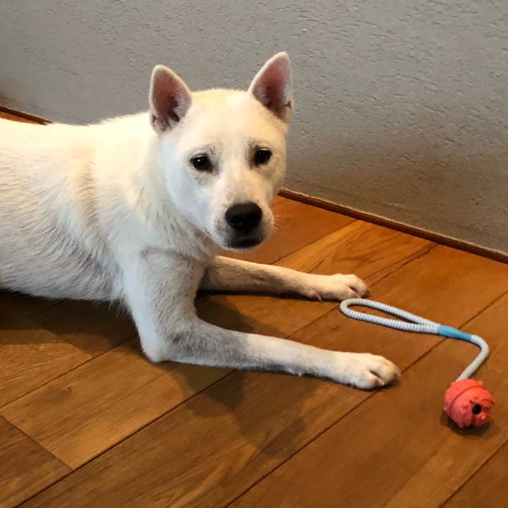 E0c75eef 5810 4872 b0b1 6969fde89913 1536451061924