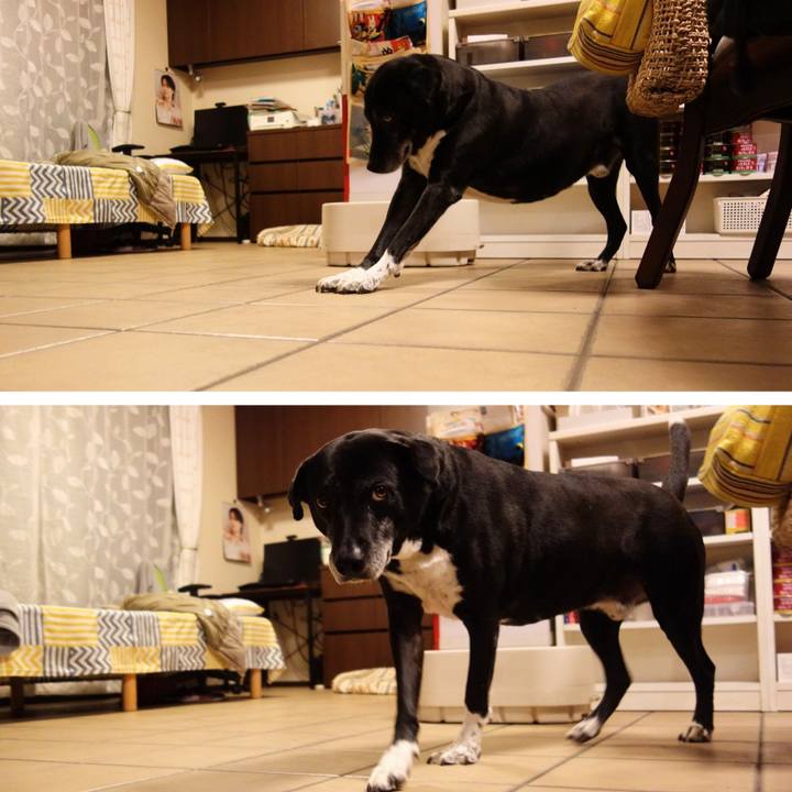 E0c7631f 6db2 4f87 8328 a4f05d336ff0 1745924316164