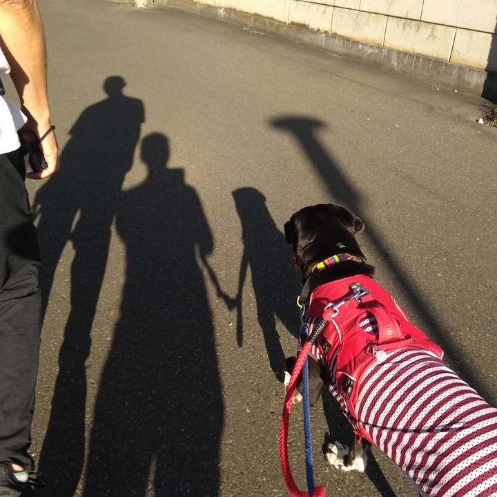 E0c78da5 8a88 4e37 99a4 948eb0af69a8 1599780212109