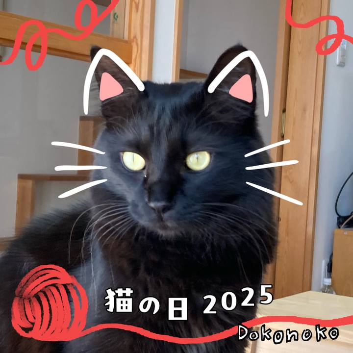 E0c7c411 fdef 41fb 96f9 177a168cac3a 1740392950245