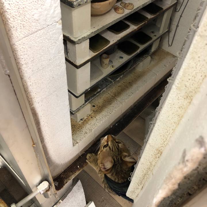 E0c7e1ac 6b23 40a1 b6b4 65767c16c8d9 1583113070806